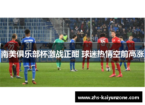 南美俱乐部杯激战正酣 球迷热情空前高涨 南美俱乐部杯激战正酣 球迷热情空前高涨